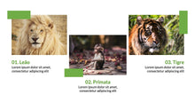 Load image into Gallery viewer, Apresentação com tema Natureza